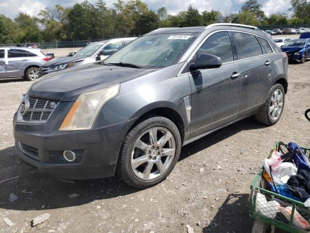 CADILLAC SRX PERFOR 2011 3gyfnbey9bs556822