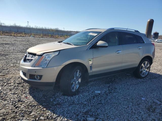 CADILLAC SRX 2010 3gyfnbeyxas540241