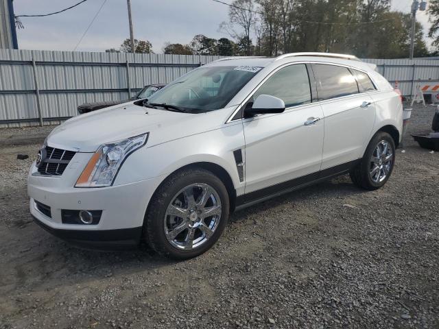 CADILLAC SRX PERFOR 2010 3gyfnbeyxas595496