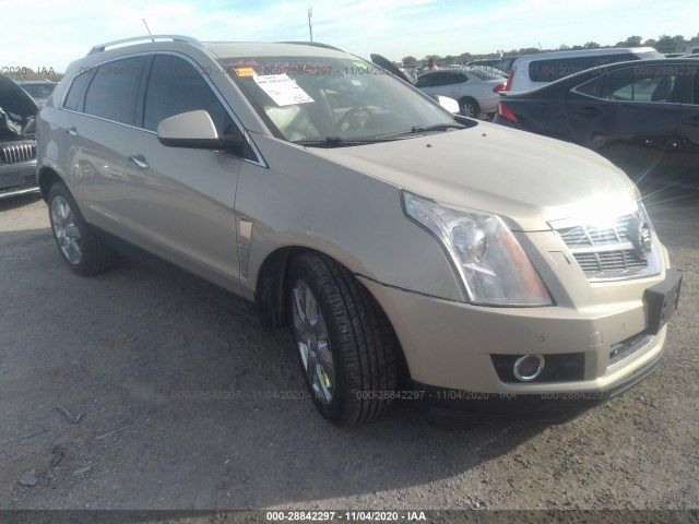 CADILLAC SRX 2010 3gyfnbeyxas611812