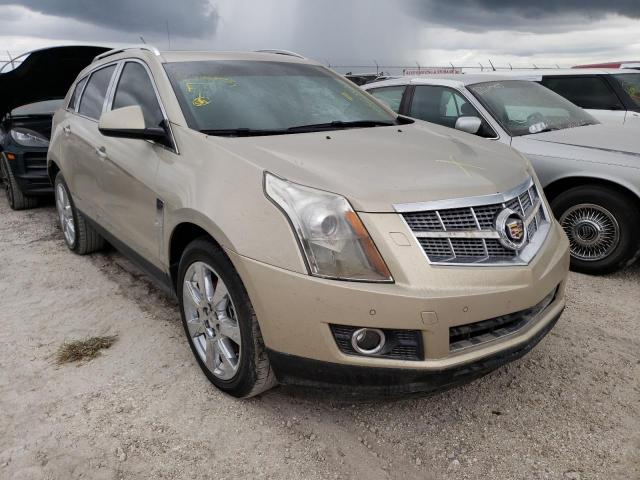 CADILLAC SRX PERFOR 2011 3gyfnbeyxbs510335