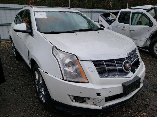 CADILLAC SRX PERFOR 2011 3gyfnbeyxbs582734