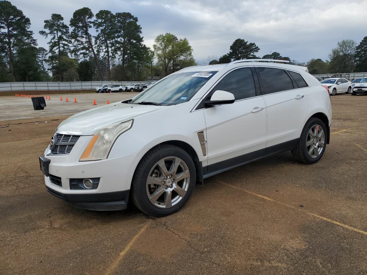 CADILLAC SRX 2011 3gyfnbeyxbs606241