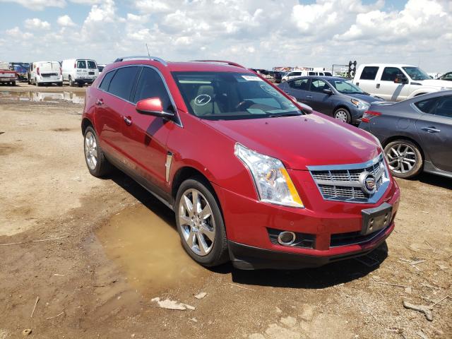 CADILLAC SRX PREMIU 2010 3gyfncey0as604552