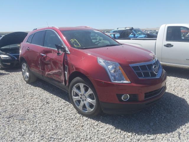 CADILLAC SRX PREMIU 2010 3gyfncey1as579418