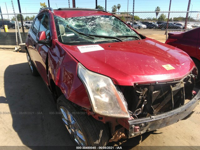 CADILLAC SRX 2010 3gyfncey1as604897