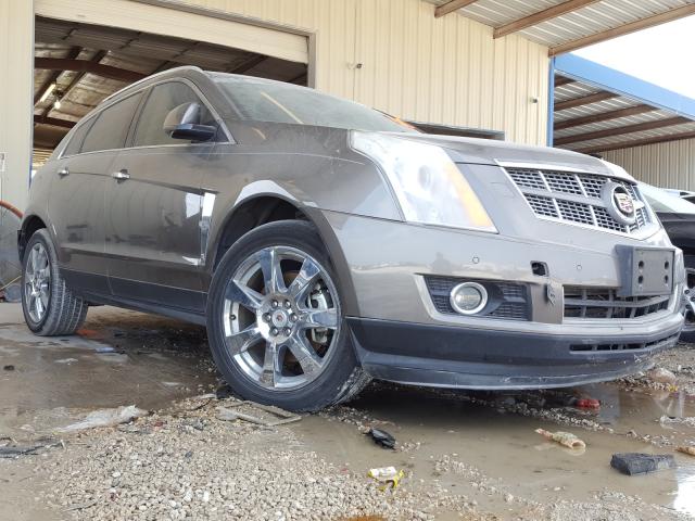 CADILLAC SRX PREMIU 2011 3gyfncey3bs665220