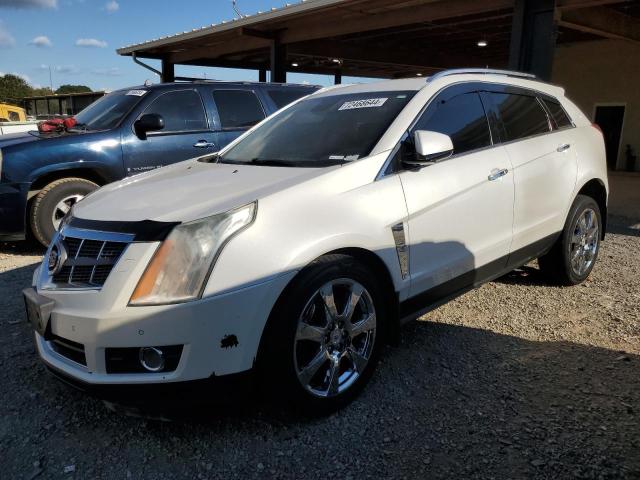 CADILLAC SRX PREMIU 2010 3gyfncey5as554750