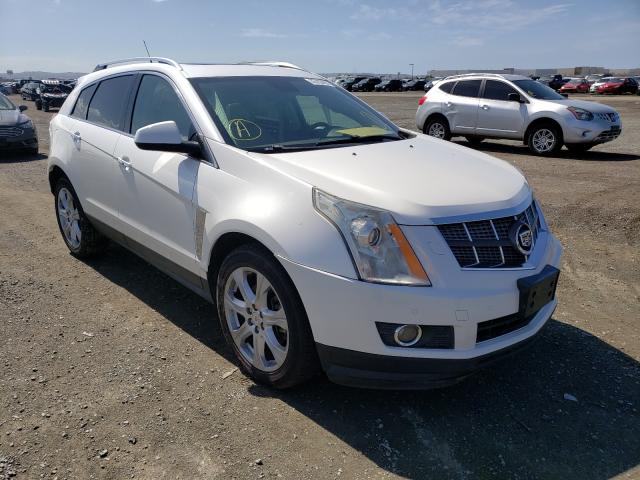 CADILLAC SRX PREMIU 2010 3gyfncey6as560556