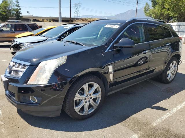 CADILLAC SRX PREMIU 2010 3gyfncey6as609755