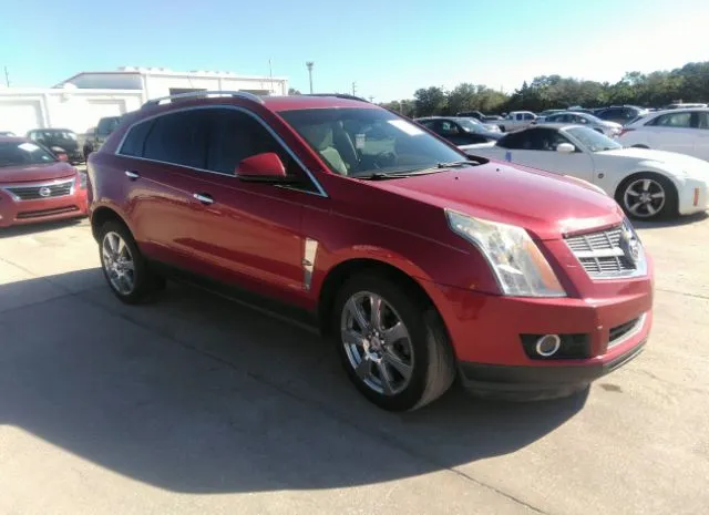 CADILLAC SRX 2010 3gyfncey7as513794