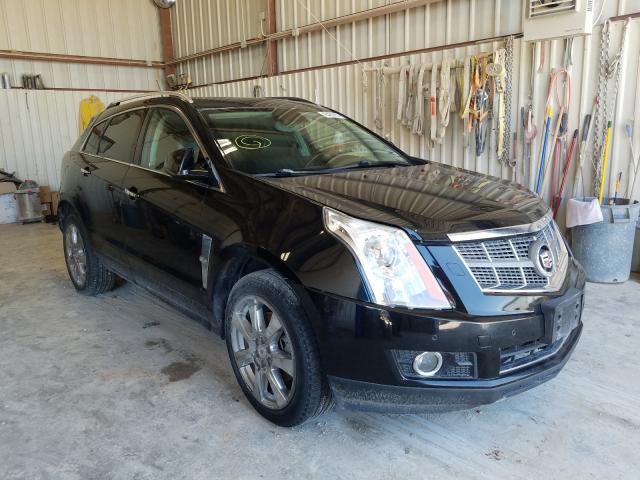 CADILLAC SRX PREMIU 2010 3gyfncey7as543104