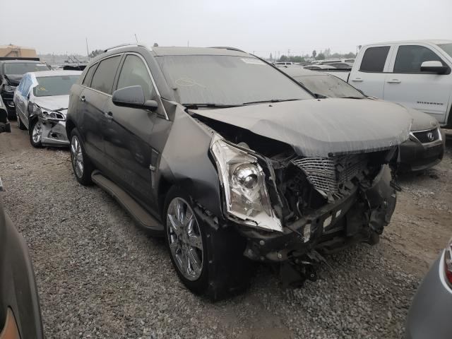 CADILLAC SRX PREMIU 2010 3gyfncey8as554774