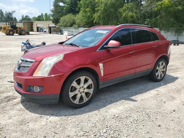 CADILLAC SRX PREMIU 2011 3gyfncey8bs505205