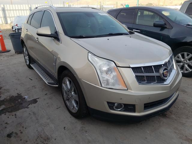 CADILLAC SRX PREMIU 2011 3gyfncey8bs630267