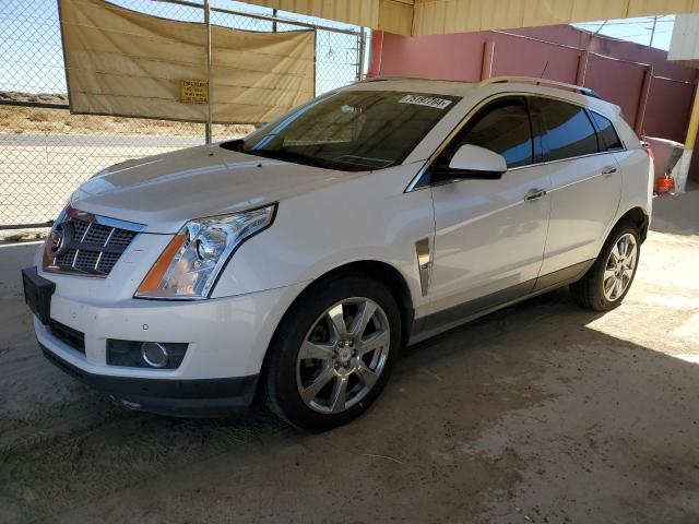 CADILLAC SRX PREMIU 2010 3gyfncey9as621446