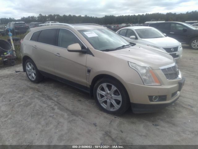 CADILLAC SRX 2010 3gyfnceyxas557210