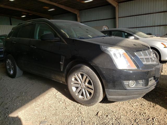 CADILLAC SRX PREMIU 2010 3gyfnceyxas581197