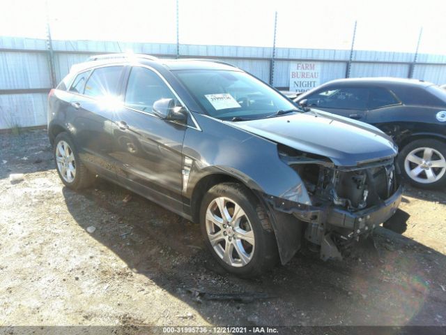 CADILLAC SRX 2010 3gyfnceyxas610441