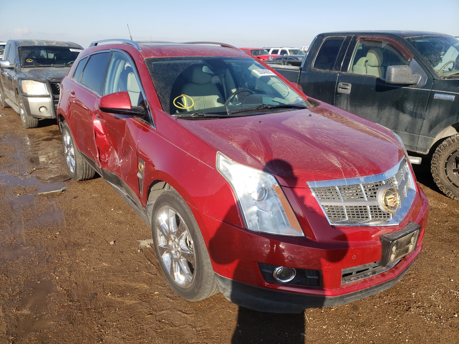 CADILLAC SRX PREMIU 2011 3gyfnceyxbs506520