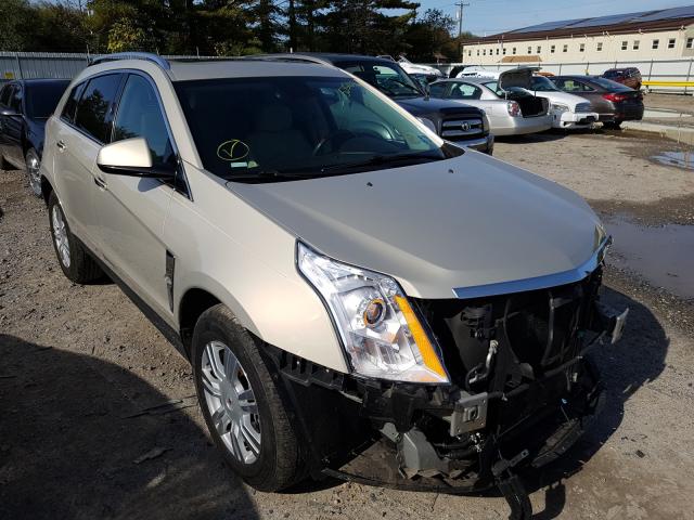 CADILLAC SRX LUXURY 2010 3gyfndey0as544066