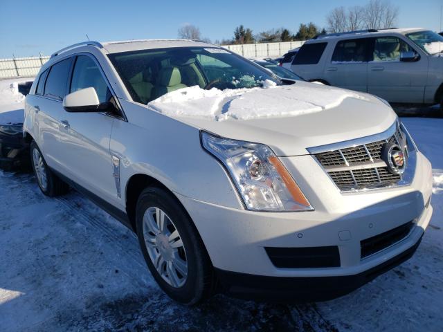 CADILLAC SRX LUXURY 2010 3gyfndey0as602127