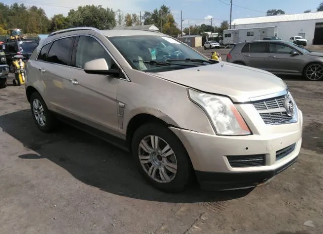 CADILLAC SRX 2011 3gyfndey0bs536535