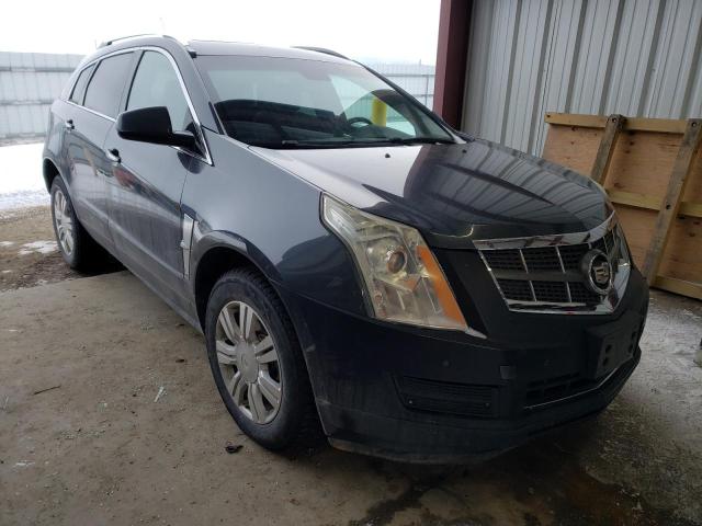 CADILLAC SRX LUXURY 2010 3gyfndey2as632133