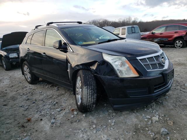 CADILLAC SRX LUXURY 2010 3gyfndey2as645030