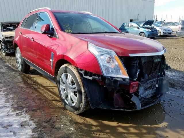 CADILLAC SRX LUXURY 2010 3gyfndey3as508064