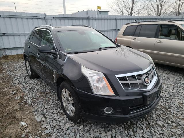 CADILLAC SRX LUXURY 2010 3gyfndey3as517055