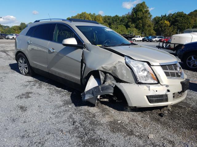 CADILLAC SRX LUXURY 2010 3gyfndey3as638443