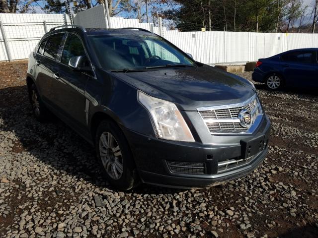 CADILLAC SRX LUXURY 2010 3gyfndey3as654464