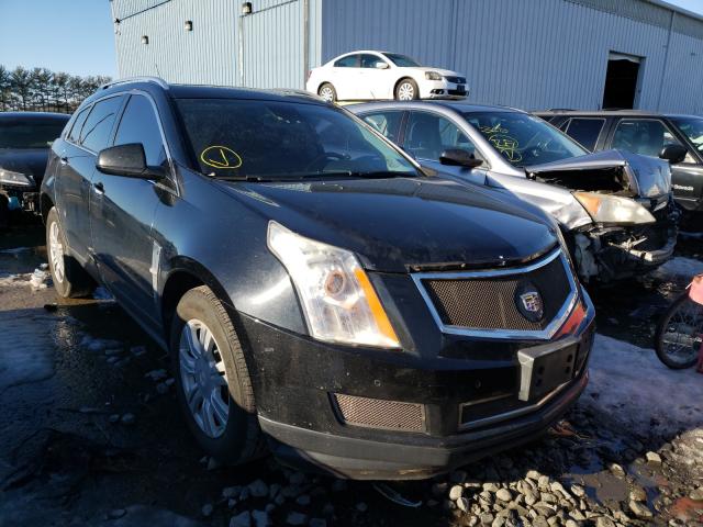 CADILLAC SRX LUXURY 2010 3gyfndey4as595604