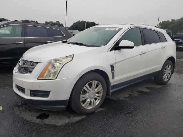 CADILLAC SRX LUXURY 2011 3gyfndey4bs628828