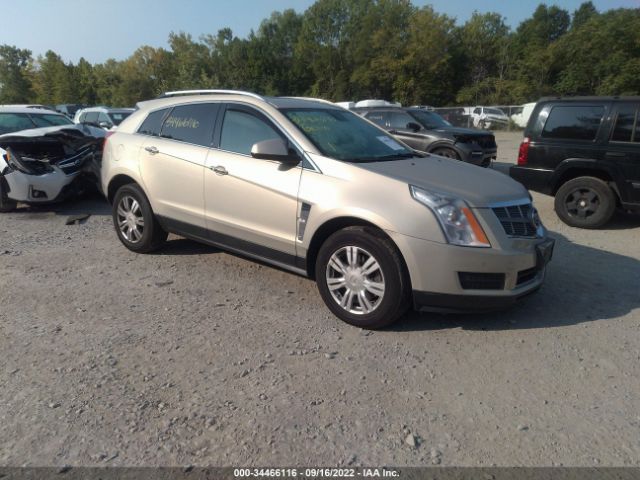 CADILLAC SRX 2011 3gyfndey4bs643782