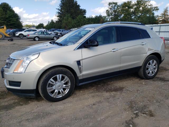 CADILLAC SRX LUXURY 2011 3gyfndey4bs647931