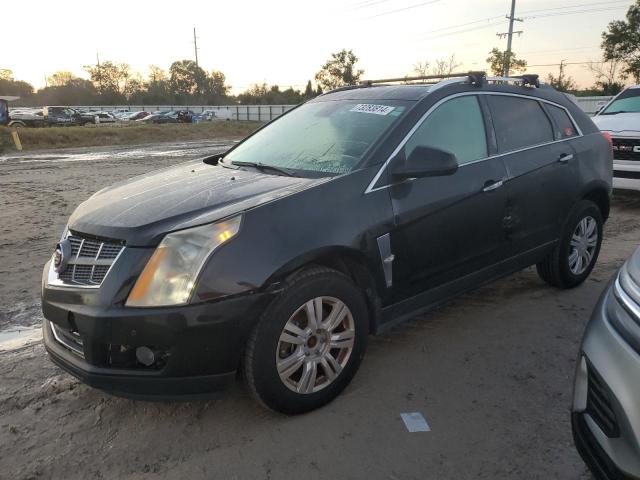 CADILLAC SRX LUXURY 2010 3gyfndey5as518756