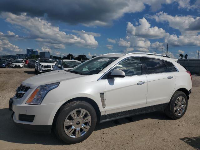 CADILLAC SRX LUXURY 2010 3gyfndey5as613267