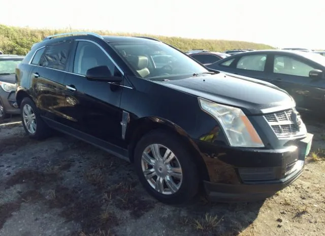 CADILLAC SRX 2010 3gyfndey5as633809