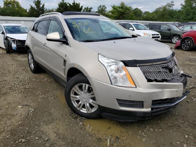 CADILLAC SRX LUXURY 2010 3gyfndey6as548798