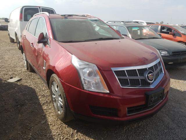 CADILLAC SRX LUXURY 2010 3gyfndey6as621247