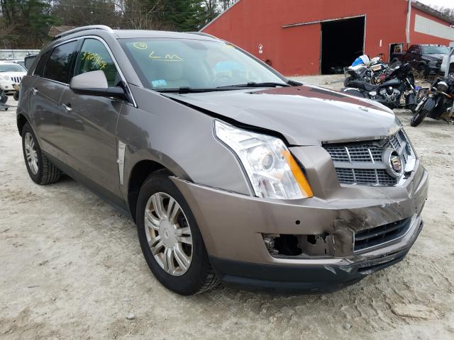 CADILLAC SRX LUXURY 2011 3gyfndey6bs664794