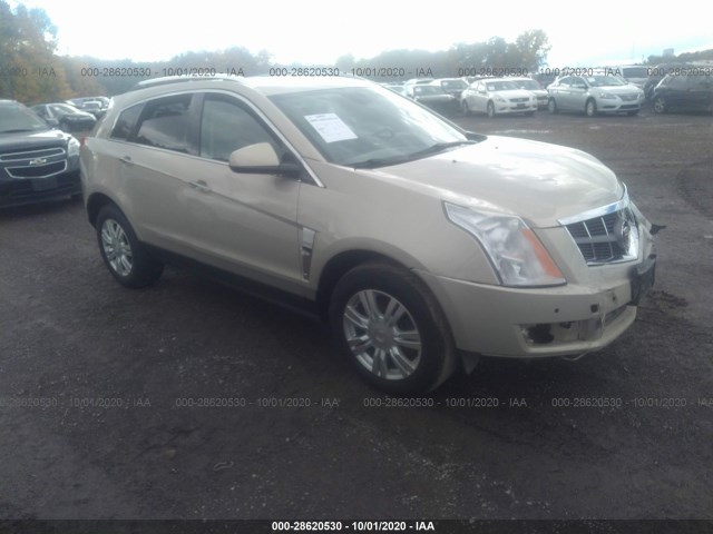 CADILLAC SRX 2010 3gyfndey7as509394