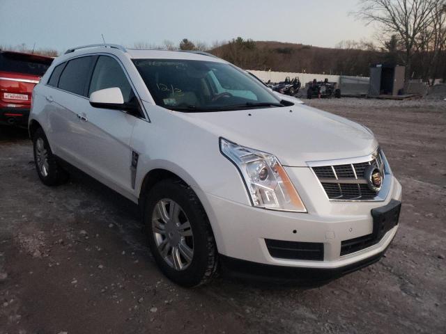 CADILLAC SRX LUXURY 2010 3gyfndey7as551743