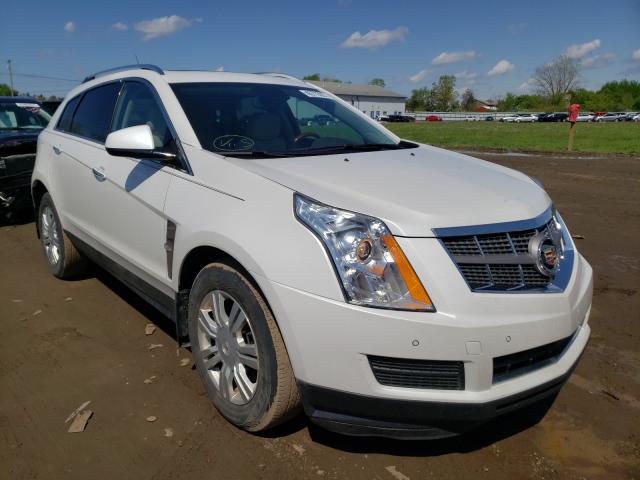 CADILLAC SRX LUXURY 2010 3gyfndey7as590168