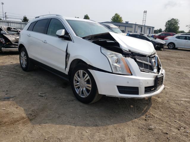 CADILLAC SRX LUXURY 2011 3gyfndey7bs611313