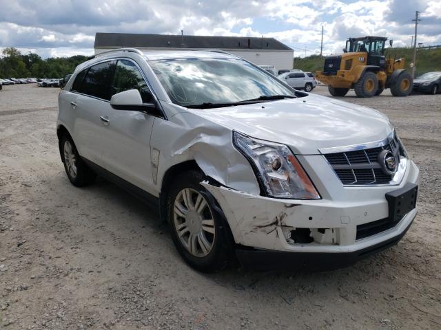 CADILLAC SRX LUXURY 2011 3gyfndey7bs638382