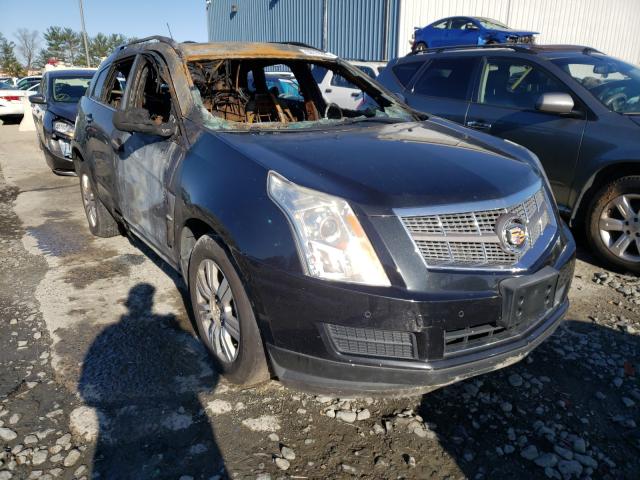 CADILLAC SRX LUXURY 2011 3gyfndey7bs667932