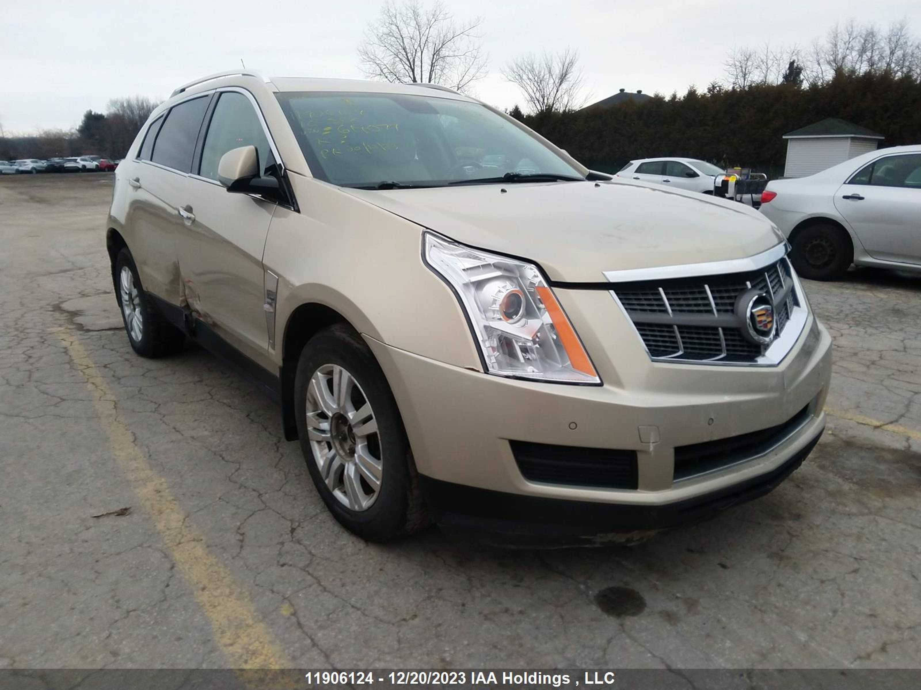 CADILLAC SRX 2010 3gyfndey8as619077